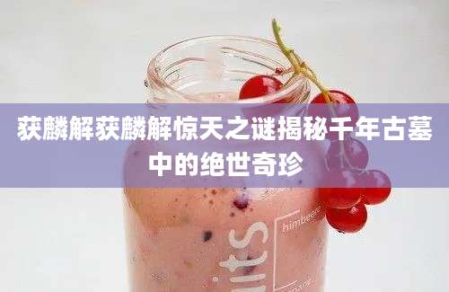 获麟解获麟解惊天之谜揭秘千年古墓中的绝世奇珍