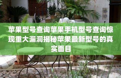 苹果型号查询苹果手机型号查询惊现重大漏洞揭秘苹果最新型号的真实面目