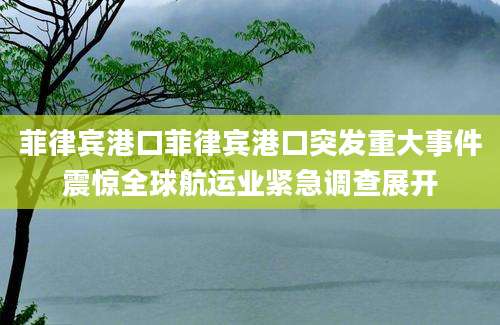 菲律宾港口菲律宾港口突发重大事件震惊全球航运业紧急调查展开