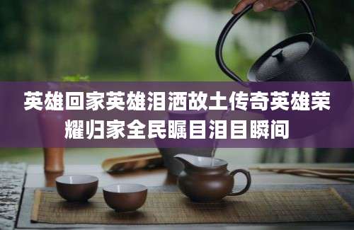 英雄回家英雄泪洒故土传奇英雄荣耀归家全民瞩目泪目瞬间