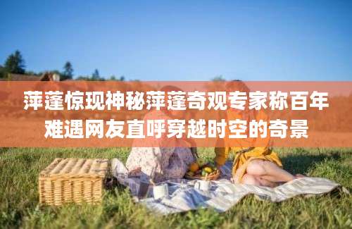 萍蓬惊现神秘萍蓬奇观专家称百年难遇网友直呼穿越时空的奇景