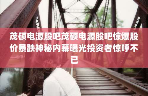 茂硕电源股吧茂硕电源股吧惊爆股价暴跌神秘内幕曝光投资者惊呼不已