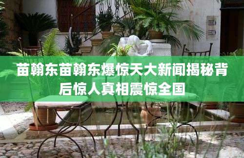 苗翰东苗翰东爆惊天大新闻揭秘背后惊人真相震惊全国