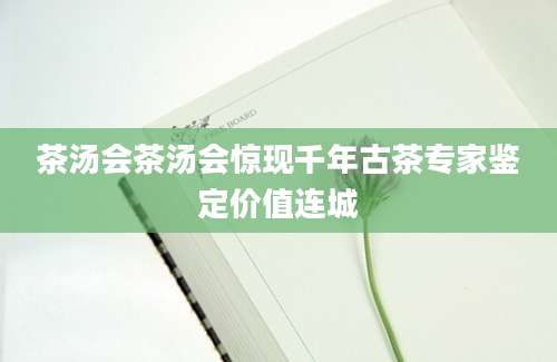 茶汤会茶汤会惊现千年古茶专家鉴定价值连城
