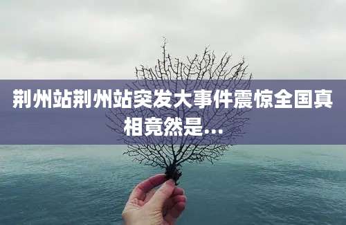 荆州站荆州站突发大事件震惊全国真相竟然是...