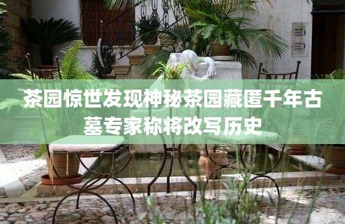 茶园惊世发现神秘茶园藏匿千年古墓专家称将改写历史