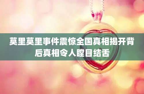 莫里莫里事件震惊全国真相揭开背后真相令人瞠目结舌