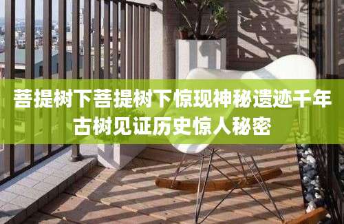 菩提树下菩提树下惊现神秘遗迹千年古树见证历史惊人秘密