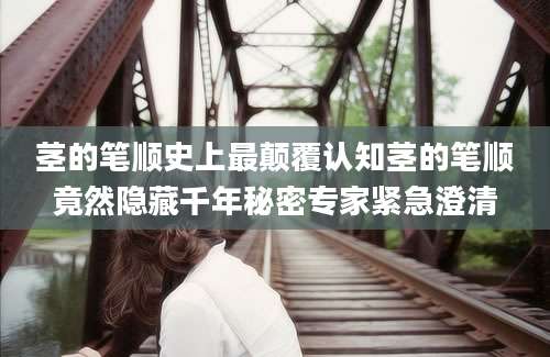 茎的笔顺史上最颠覆认知茎的笔顺竟然隐藏千年秘密专家紧急澄清