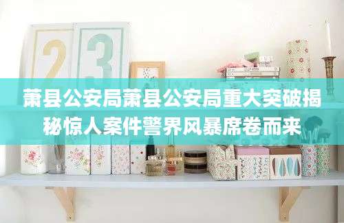 萧县公安局萧县公安局重大突破揭秘惊人案件警界风暴席卷而来