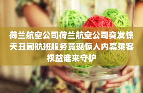 荷兰航空公司荷兰航空公司突发惊天丑闻航班服务竟现惊人内幕乘客权益谁来守护