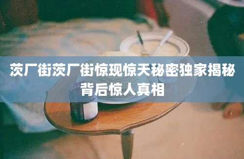 茨厂街茨厂街惊现惊天秘密独家揭秘背后惊人真相