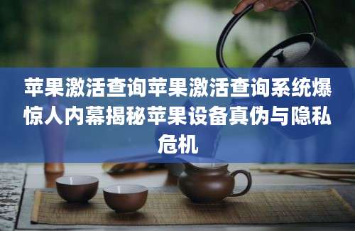 苹果激活查询苹果激活查询系统爆惊人内幕揭秘苹果设备真伪与隐私危机