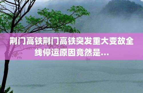 荆门高铁荆门高铁突发重大变故全线停运原因竟然是...
