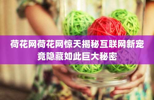荷花网荷花网惊天揭秘互联网新宠竟隐藏如此巨大秘密