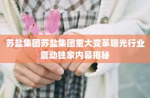 苏盐集团苏盐集团重大变革曝光行业震动独家内幕揭秘