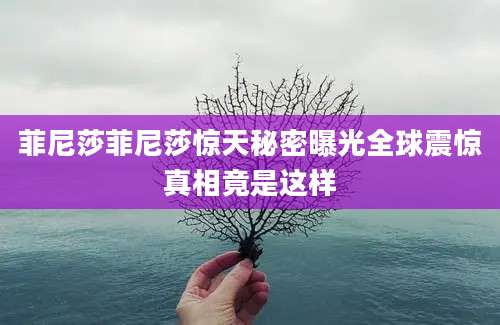 菲尼莎菲尼莎惊天秘密曝光全球震惊真相竟是这样