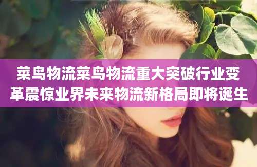 菜鸟物流菜鸟物流重大突破行业变革震惊业界未来物流新格局即将诞生