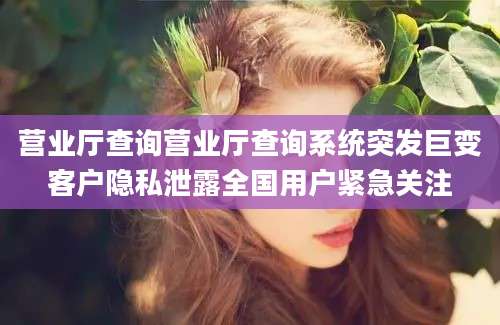 营业厅查询营业厅查询系统突发巨变客户隐私泄露全国用户紧急关注