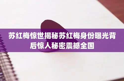 苏红梅惊世揭秘苏红梅身份曝光背后惊人秘密震撼全国