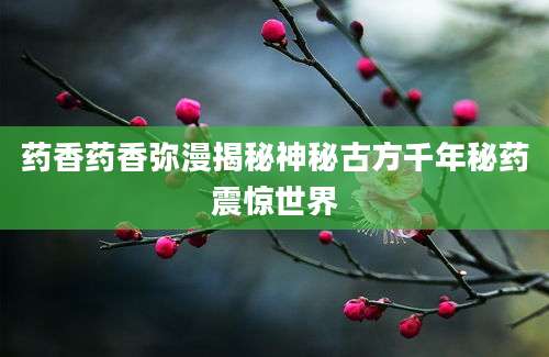 药香药香弥漫揭秘神秘古方千年秘药震惊世界