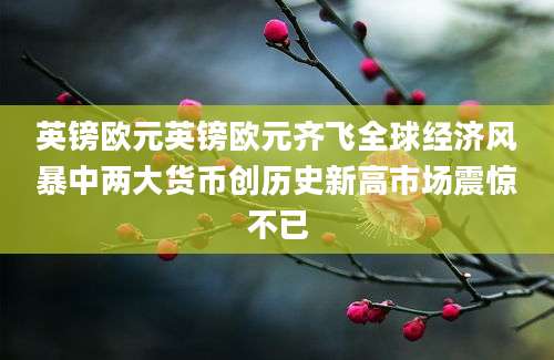 英镑欧元英镑欧元齐飞全球经济风暴中两大货币创历史新高市场震惊不已