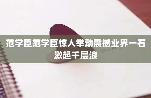 范学臣范学臣惊人举动震撼业界一石激起千层浪