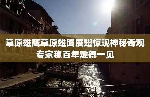 草原雄鹰草原雄鹰展翅惊现神秘奇观专家称百年难得一见