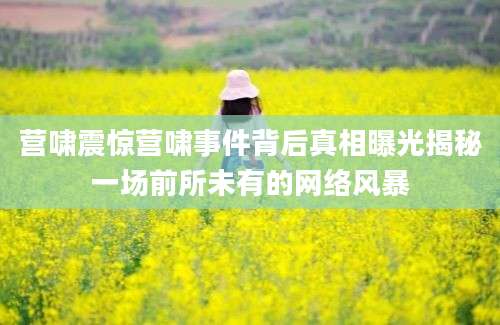 营啸震惊营啸事件背后真相曝光揭秘一场前所未有的网络风暴