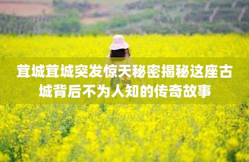 茸城茸城突发惊天秘密揭秘这座古城背后不为人知的传奇故事