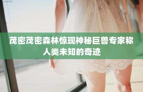 茂密茂密森林惊现神秘巨兽专家称人类未知的奇迹