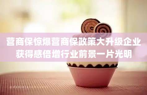 营商保惊爆营商保政策大升级企业获得感倍增行业前景一片光明