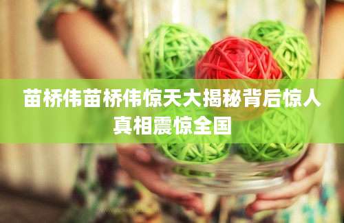 苗桥伟苗桥伟惊天大揭秘背后惊人真相震惊全国