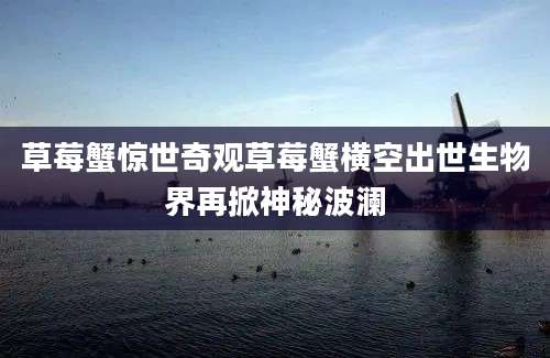 草莓蟹惊世奇观草莓蟹横空出世生物界再掀神秘波澜