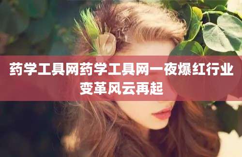 药学工具网药学工具网一夜爆红行业变革风云再起