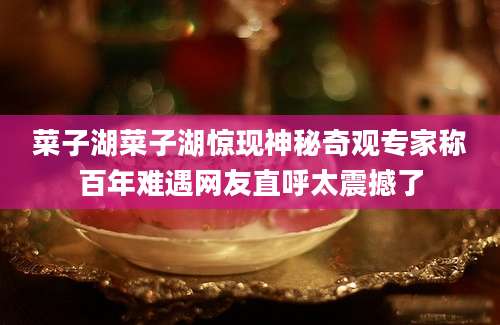 菜子湖菜子湖惊现神秘奇观专家称百年难遇网友直呼太震撼了