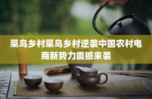 菜鸟乡村菜鸟乡村逆袭中国农村电商新势力震撼来袭