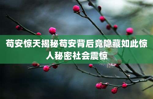 苟安惊天揭秘苟安背后竟隐藏如此惊人秘密社会震惊