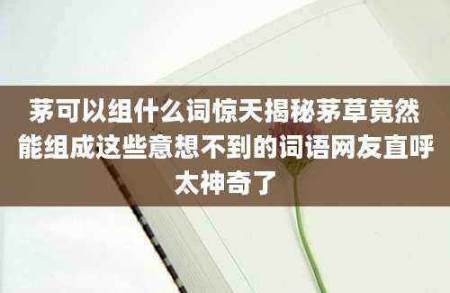 茅可以组什么词惊天揭秘茅草竟然能组成这些意想不到的词语网友直呼太神奇了