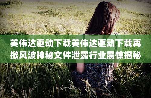 英伟达驱动下载英伟达驱动下载再掀风波神秘文件泄露行业震惊揭秘