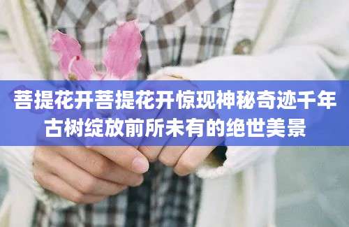 菩提花开菩提花开惊现神秘奇迹千年古树绽放前所未有的绝世美景