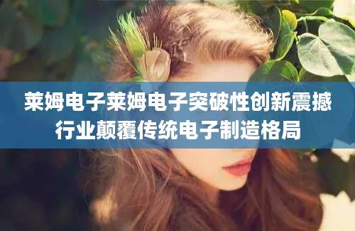 莱姆电子莱姆电子突破性创新震撼行业颠覆传统电子制造格局