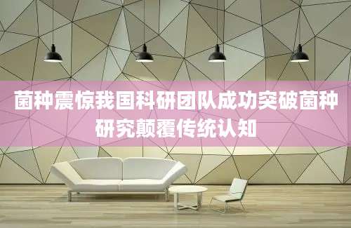 菌种震惊我国科研团队成功突破菌种研究颠覆传统认知