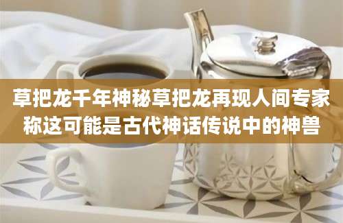 草把龙千年神秘草把龙再现人间专家称这可能是古代神话传说中的神兽