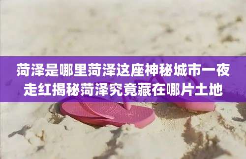 菏泽是哪里菏泽这座神秘城市一夜走红揭秘菏泽究竟藏在哪片土地