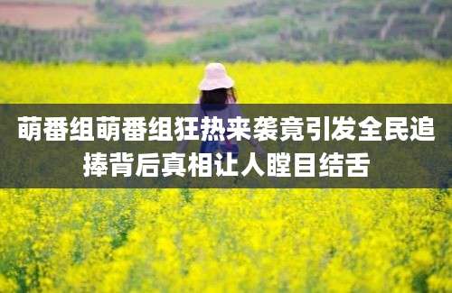 萌番组萌番组狂热来袭竟引发全民追捧背后真相让人瞠目结舌