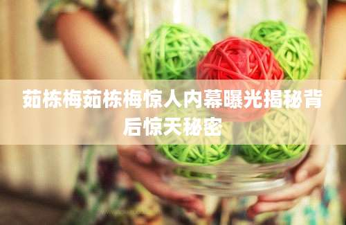 茹栋梅茹栋梅惊人内幕曝光揭秘背后惊天秘密