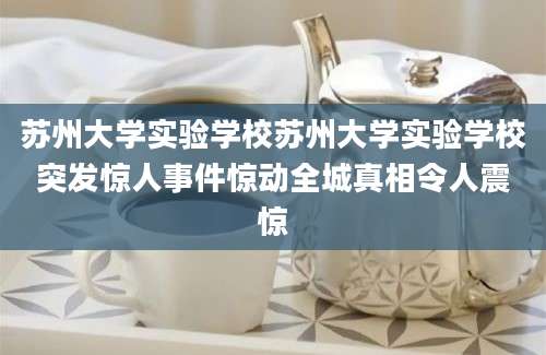 苏州大学实验学校苏州大学实验学校突发惊人事件惊动全城真相令人震惊