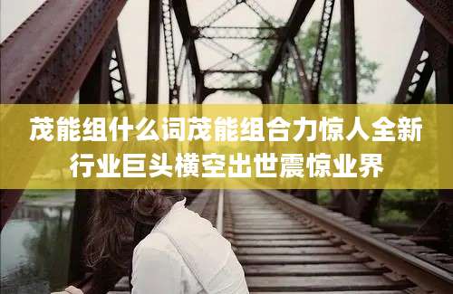茂能组什么词茂能组合力惊人全新行业巨头横空出世震惊业界
