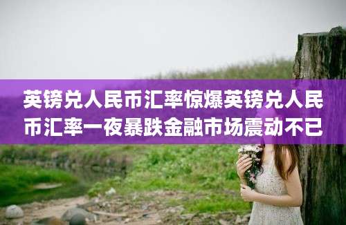 英镑兑人民币汇率惊爆英镑兑人民币汇率一夜暴跌金融市场震动不已